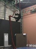 0505052.jpg