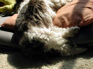 img20050304_3.jpg