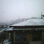 20041229_1128_000.jpg
