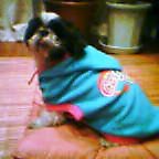 20041025_2223_000.jpg