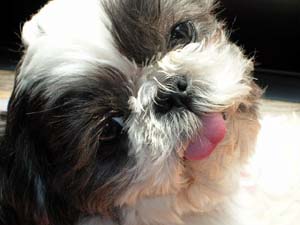 img20050224_1.jpg