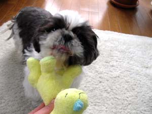 img20050303_3.jpg