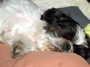 img20050304_1.jpg