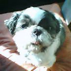 20041230_1026_001.jpg