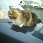 20040924_0909_000.jpg