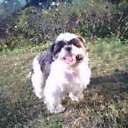20041127_1457_000.jpg