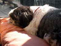 img20050131.jpg