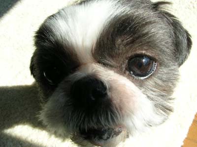 img20050309_1.jpg