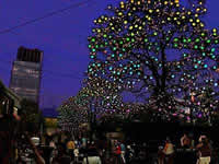 img20041225.bmp