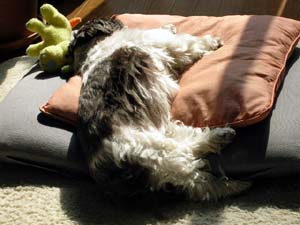 img20050304_2.jpg