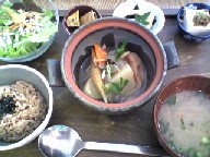 img20080511.jpg