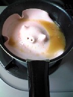 img20080511.jpg