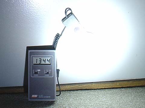 k2000_1_480.jpg