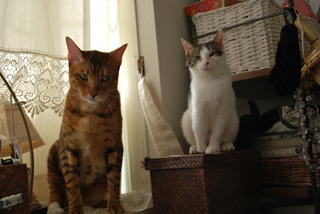dsc_1221.jpg