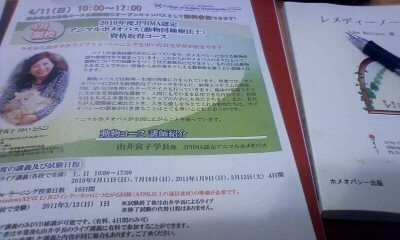 img20100215.jpg