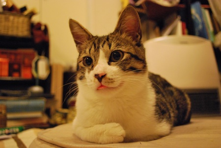 dsc_1517.jpg