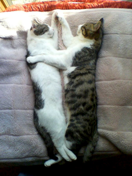 img20100128_1_1.jpg