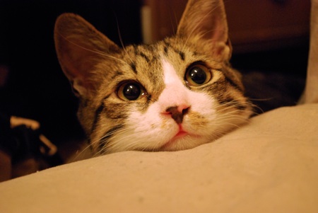 dsc_1103.jpg