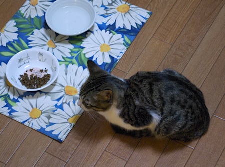 img20091026.jpg