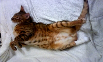 img20100215_1.jpg