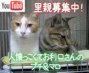 mov