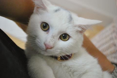 img20091014_1.jpg