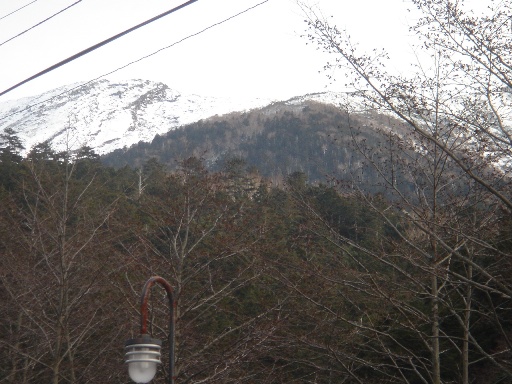 DSC00864.jpg