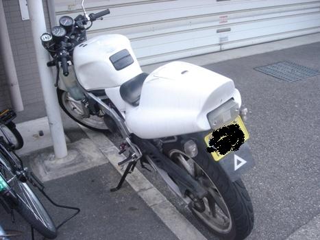 dsc01755.jpg
