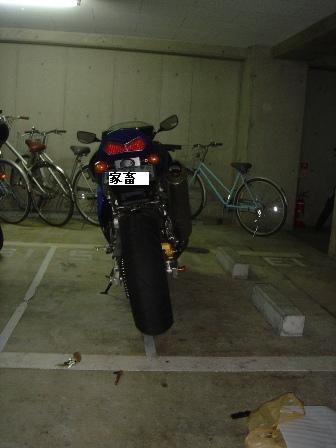 DSC00878.jpg