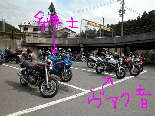 a1.jpg