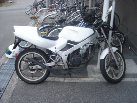 dsc01756.jpg