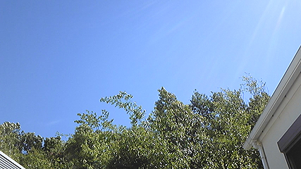 DVC00014