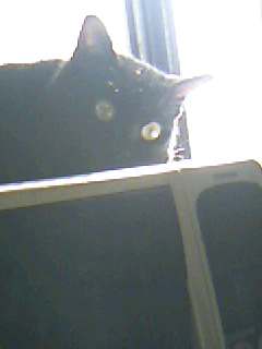 img20060622.jpg