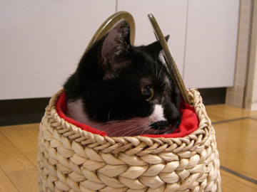 img20060629.jpg