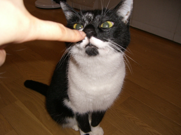 img20060626.jpg