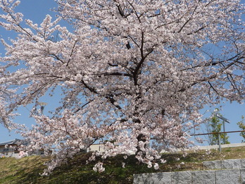 P1040168