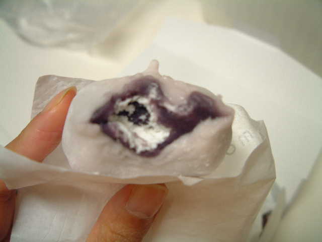 img20070120_4.jpg