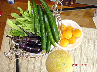 dc073008.jpg