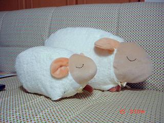 img20070812_2.jpg