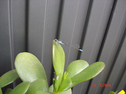 dc062320.jpg