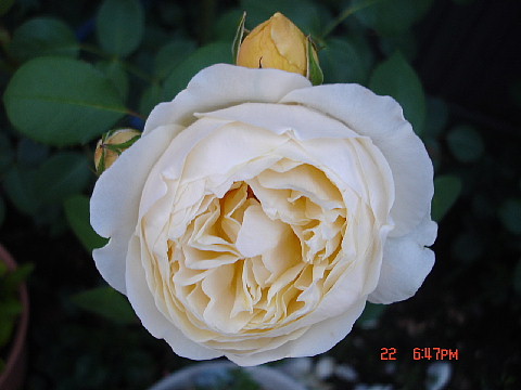 dc062313.jpg