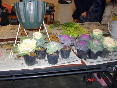 img20081130_2.jpg