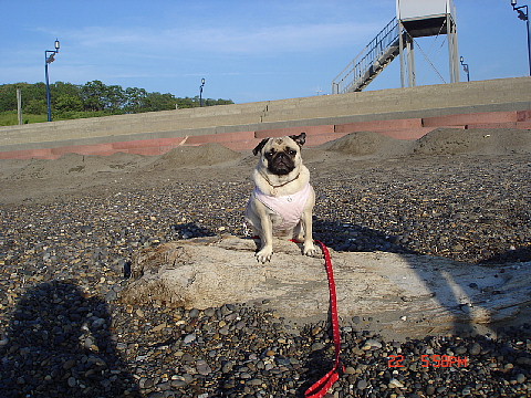dc062302.jpg
