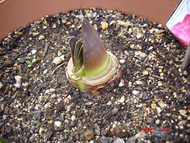 img20080529_5.jpg