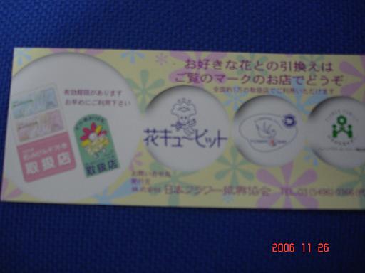 dsc01499.jpg