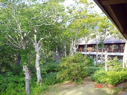 img20081005_5.jpg