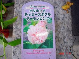 img20090712_6.jpg