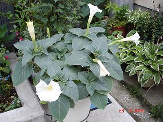 dc072836-2.jpg