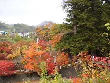 img20081107.jpg