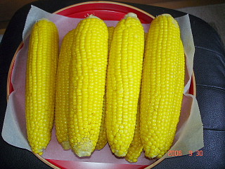 dc093002.jpg